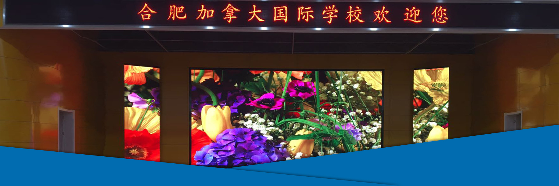 幻燈5